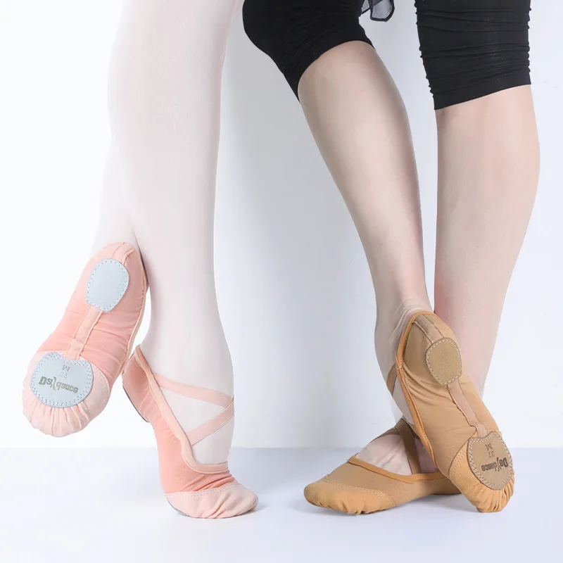 Elastic Mesh Ballet Shoes for Women Adult Soft Split Sole Girls Ballet Slippers High Quality Breathable Ballerina Dance Shoes