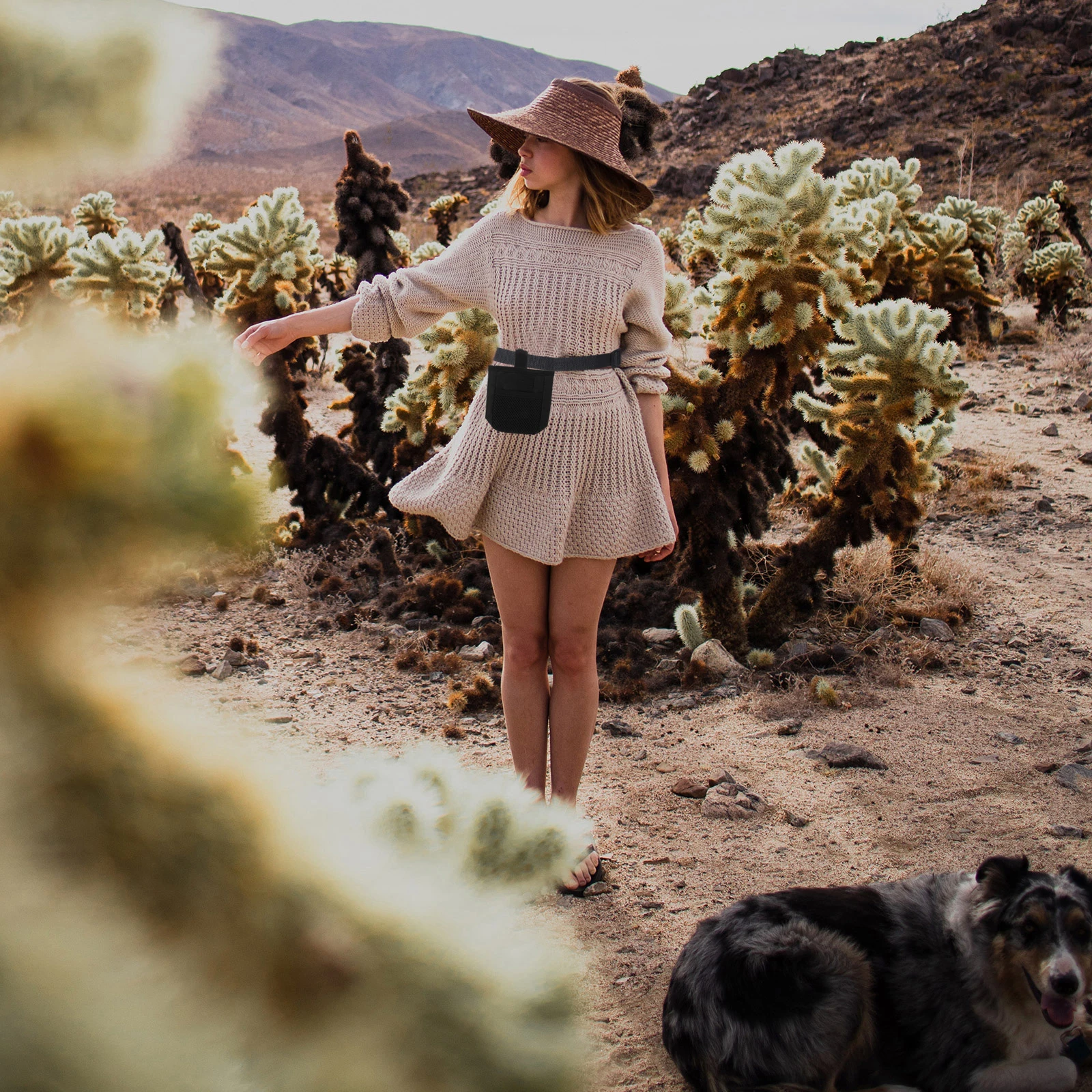 

Premium Portable Dog Food Bag Waterproof Treat Pouch with Clip for Outdoor Walking Training and Travel Black Dog Poop Bag Holder