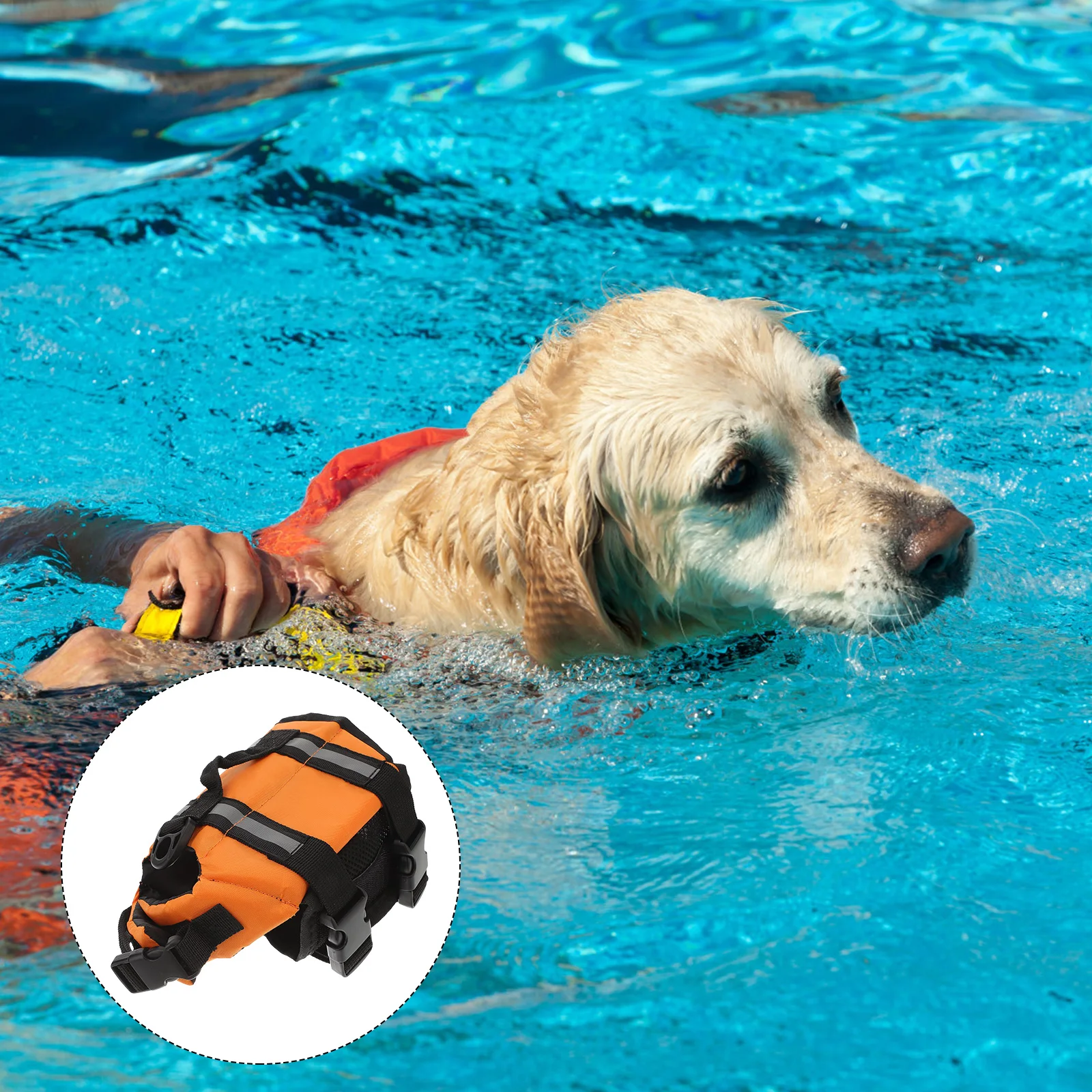 

Jacket Pet Life Preserver Orange Size Xxs Durable Reflective Safety Bright Colors Quick Release Buckles Grab