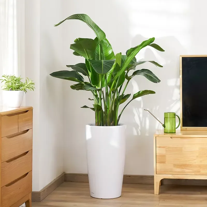 for Wholesale White Baking Finished Large Tall Plastic Flower Pot Planters Macetas Para Plantas