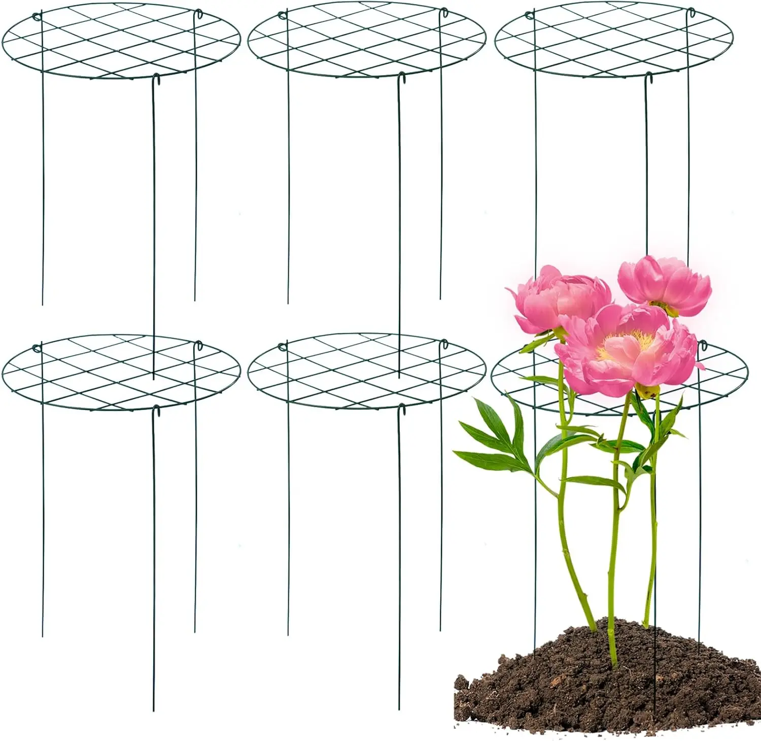 

Набор из 6 опор для пионов 16x24 дюйма, подпорки для растений, позволяющие им вырасти сквозь них, для уличных растений