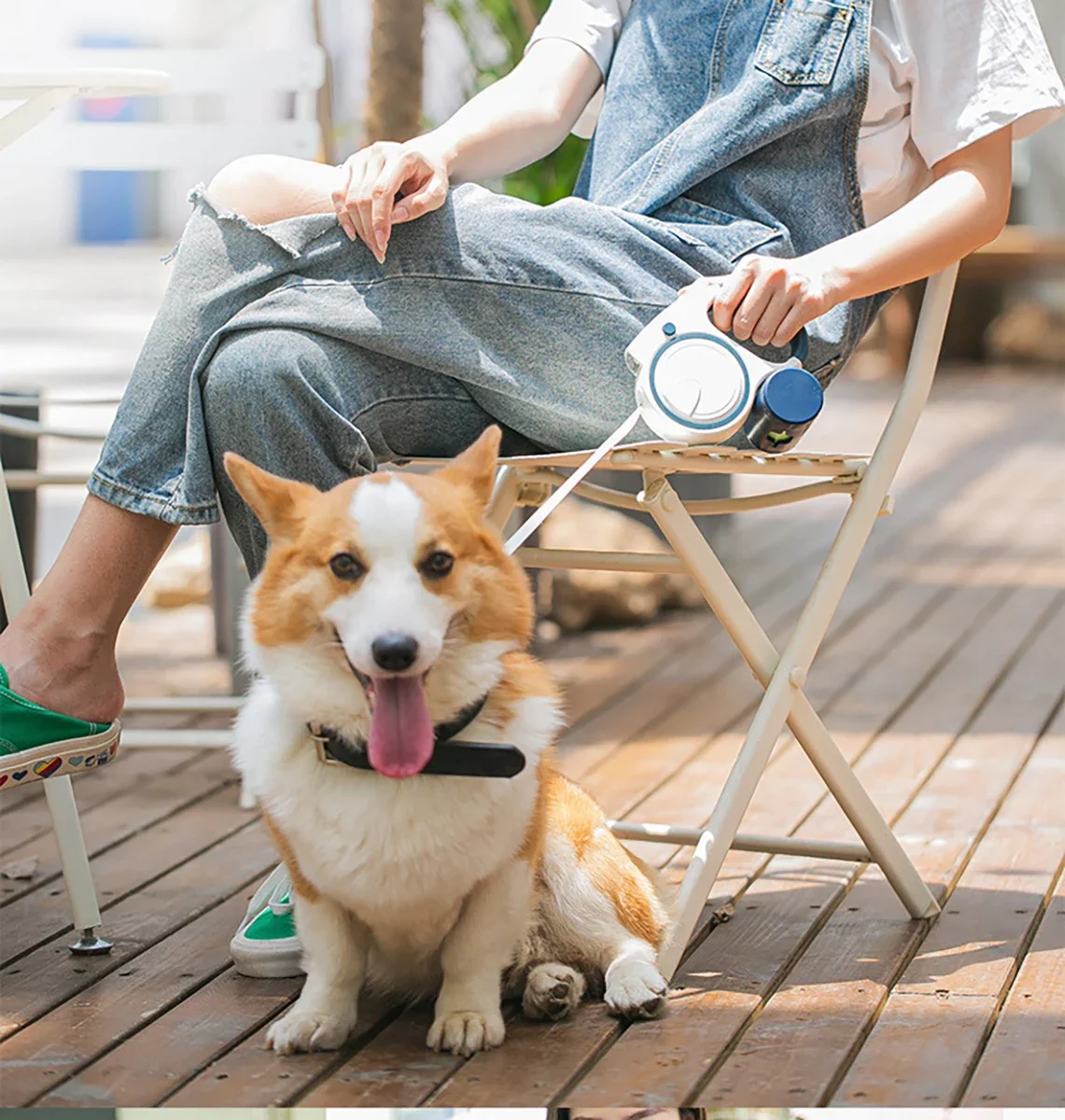 Brighter-LED Light Retractable Dog Leash, 360 ° Tangle Free, 10ft, Nylon Traction Rope, Hands-Free Leash