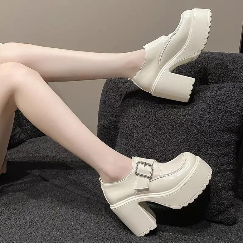 

Women's Height Increasing 10cm Waterproof Chunky Heel High Heels British Style Mary Jane Single Shoes Small Leather 2025 Autumn