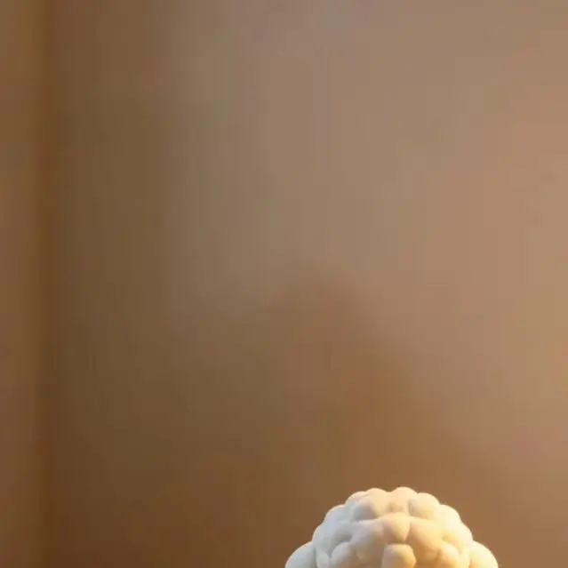 3d Printed Poodle Ornament White Poodle Decor 3d Printed White Poodle Figurine Cute Mini Teddy Dog Desk Decor for Bookshelf