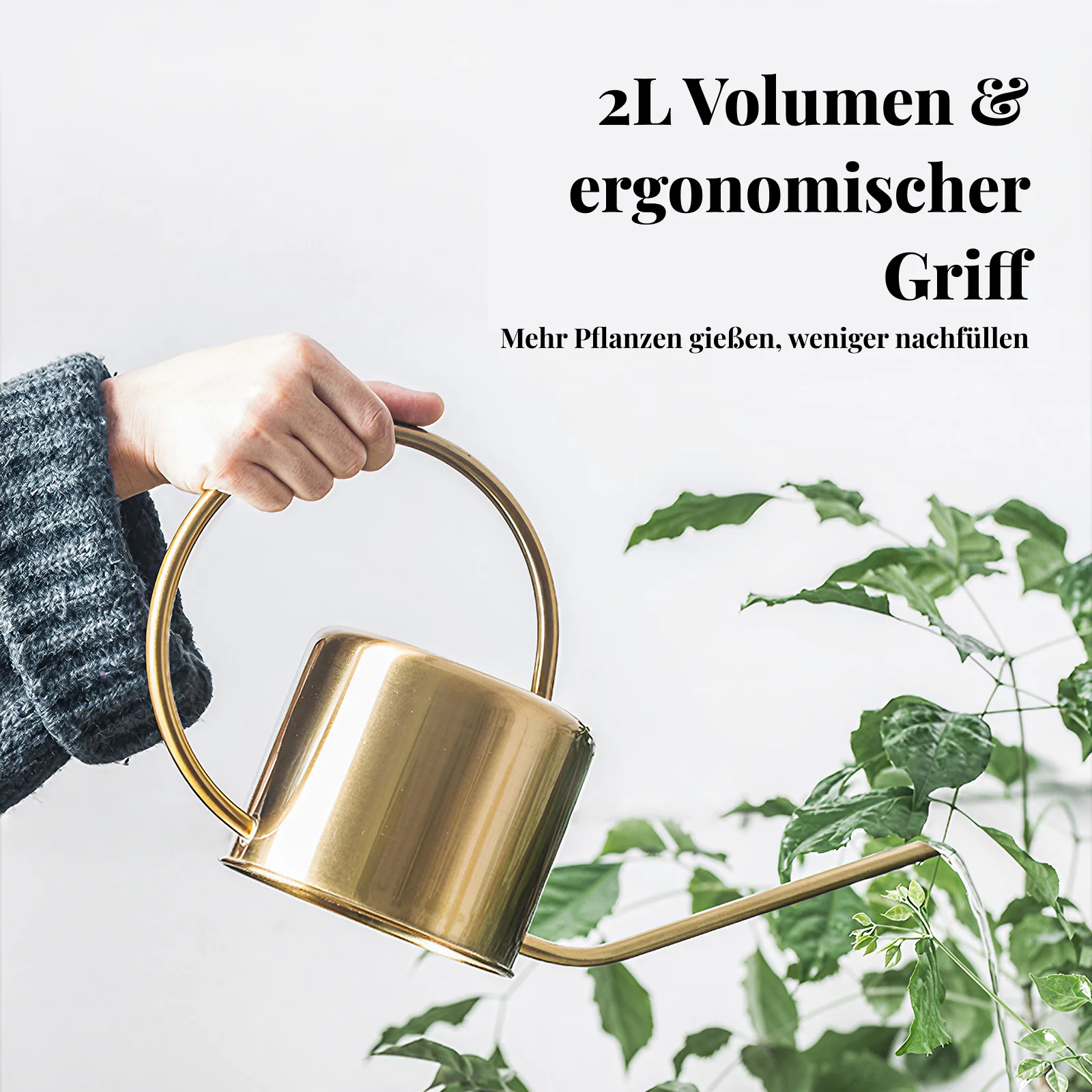 Gietkan met lange tuit van roe - Watering Can Long Spout recensie en prijs