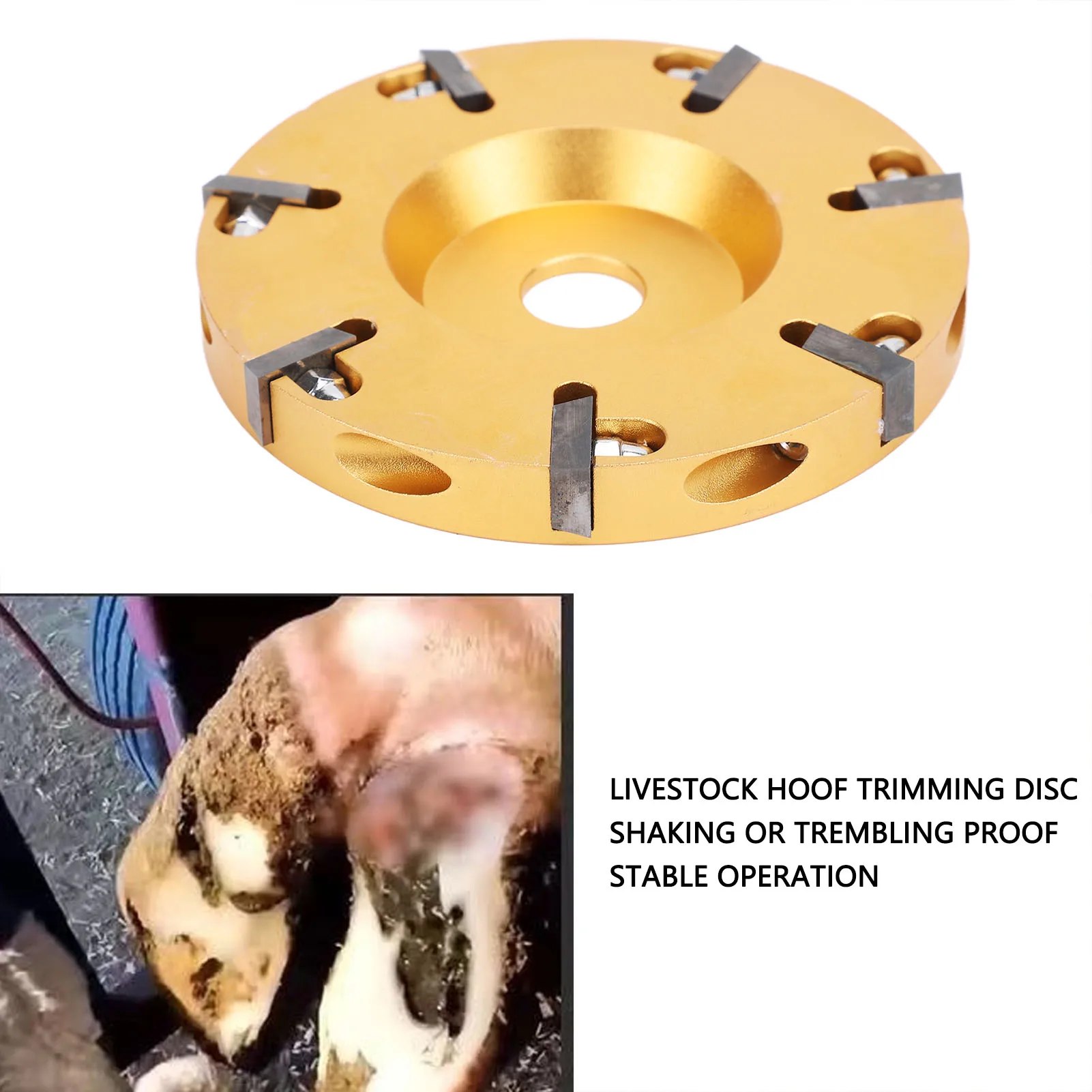 

Livestock Hoof Trimming Disc Metal Alloy Hoof Trimming Grinder Disc Cattle Hoof Claws Care Tool For Cattle Horses Sheep