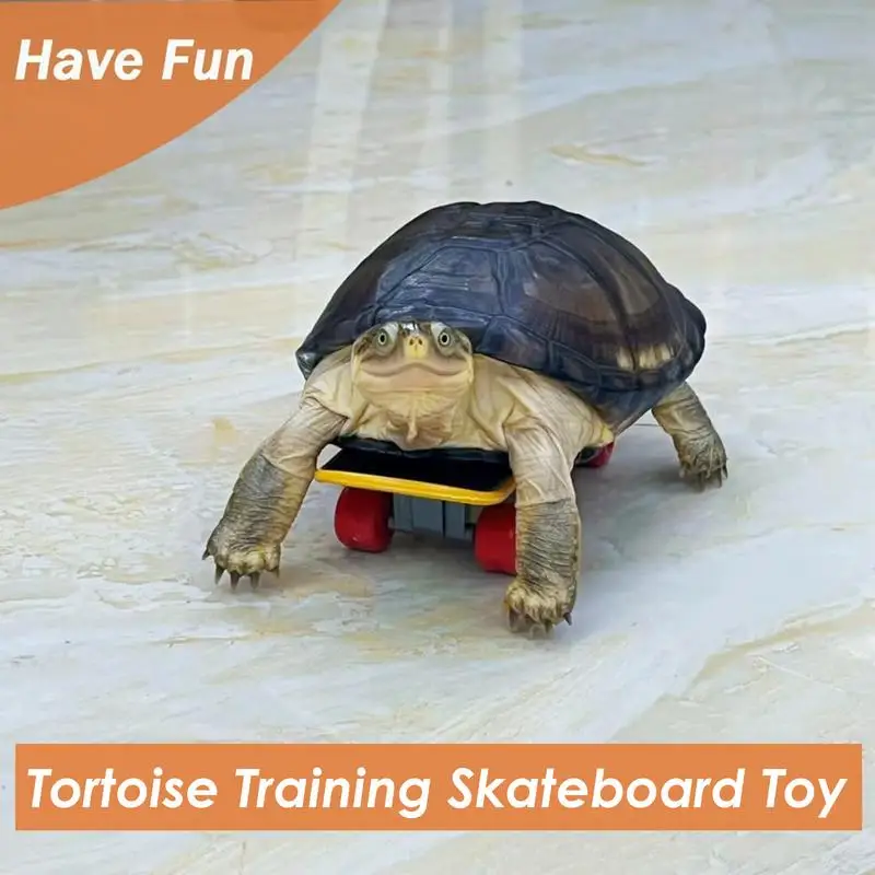 Turtle Feeding Ball Fruit Vegetable Holder with Training Skateboard 2 Treat Balls Turtle Enrichment Toys for Tortoise Turtle