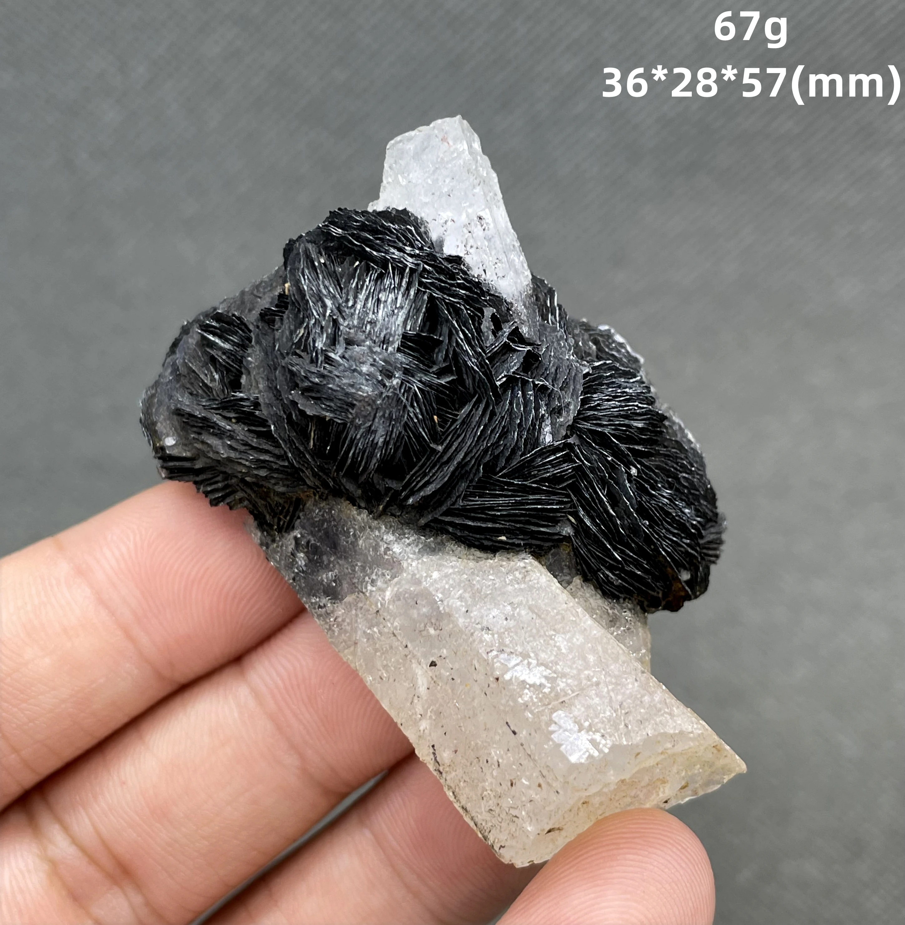 

BEST! 100% Natural Specular hematite and crystal symbiosis mineral specimen quartz healing crystal