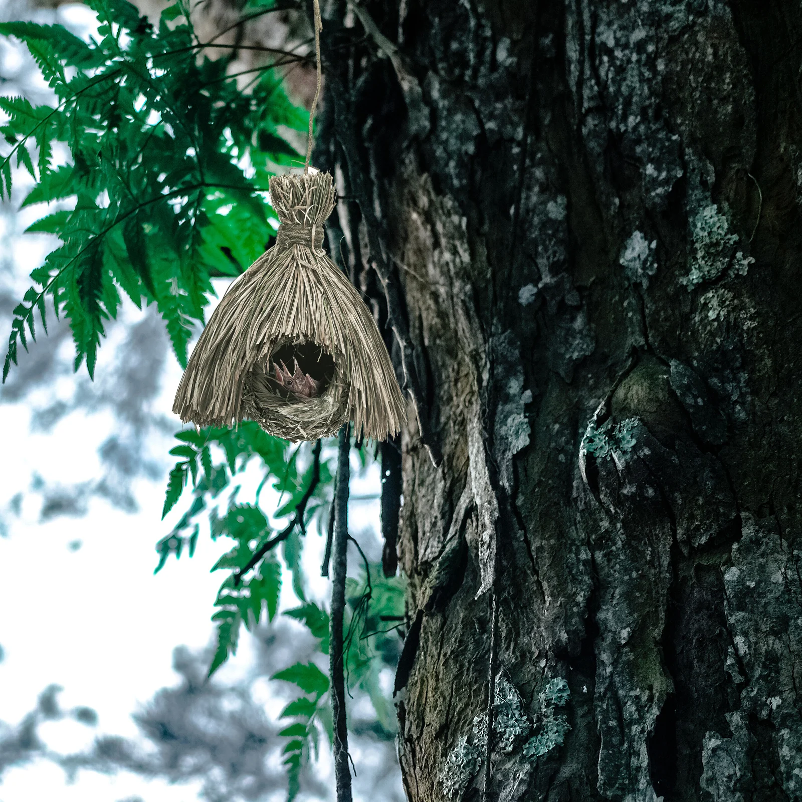 

1Pc Hanging Bird Nest Easy Install Solid Wood Grass Woven Birds Shelter Dropshaped Bird Breeding Nest Garden Accessory