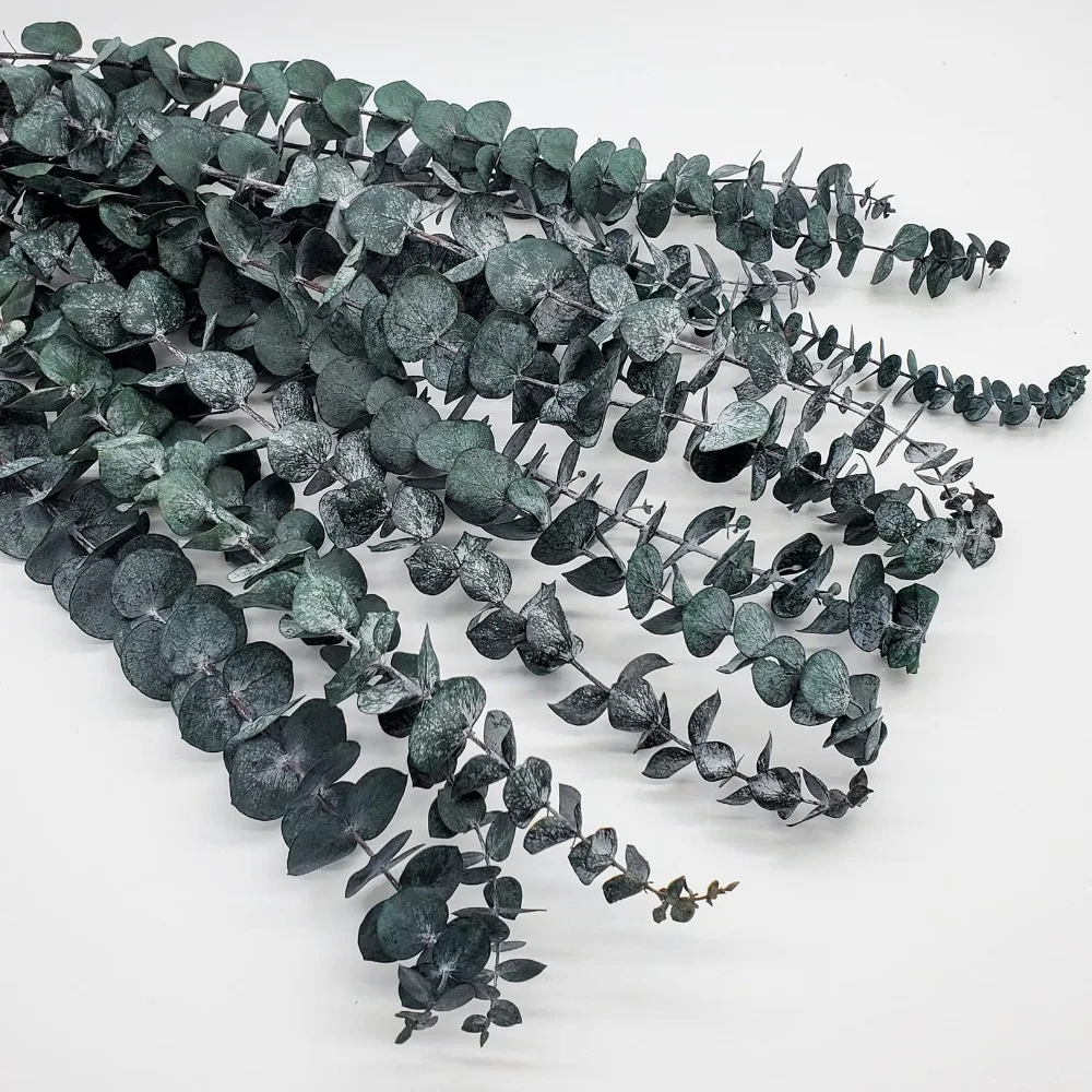 5/10/20 stücke künstlich getrocknete konservierte Eukalyptus blätter Zweige Duschen Hochzeits arrangements Eukalyptu Pflanzen Vase Wohnkultur – Detail 20