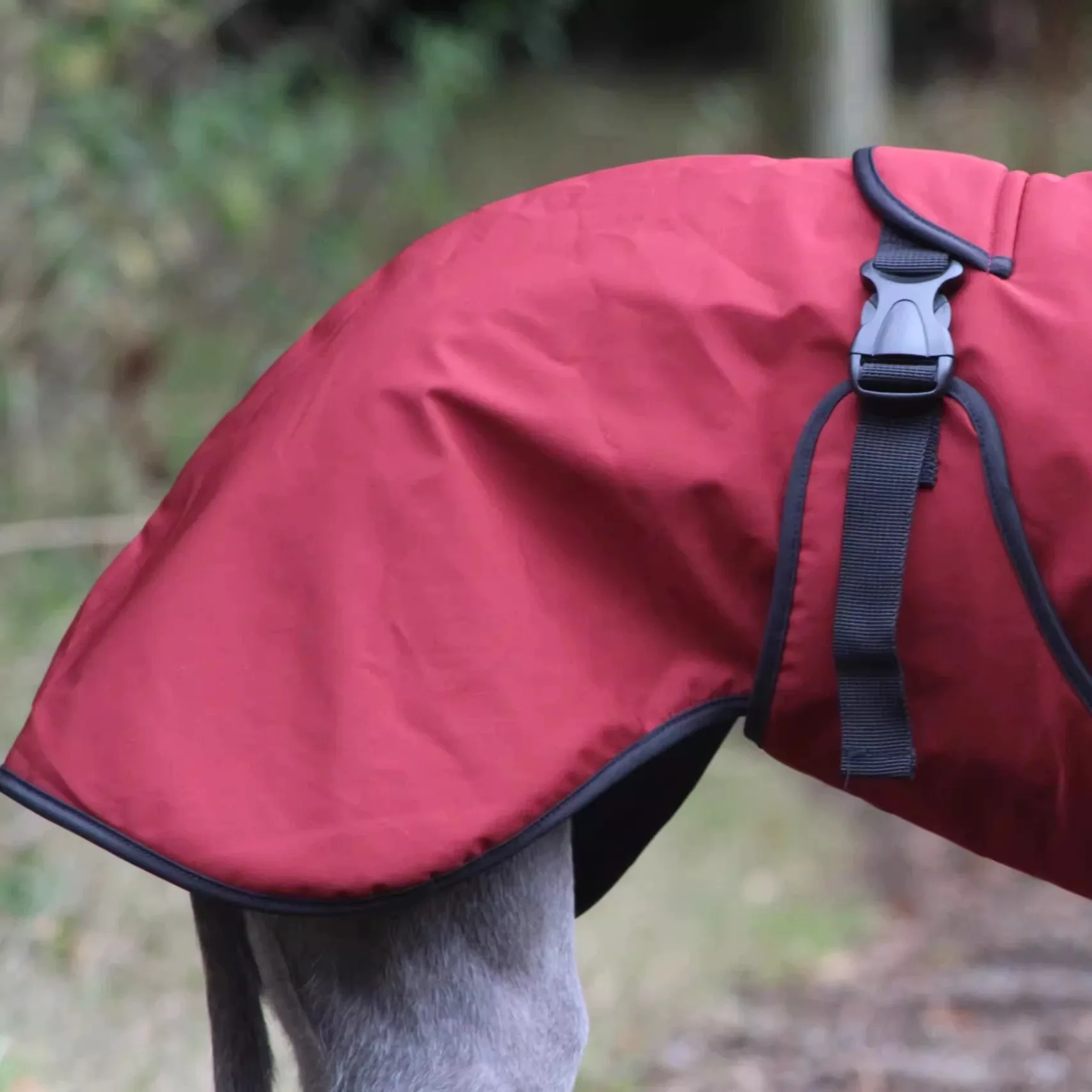 Modischer Regenmantel für Airless Terrier, weiche Welpenkleidung, warmer wasserdichter Mantel für italienische Windhund-Whippet-Hundejacke – Detail 6