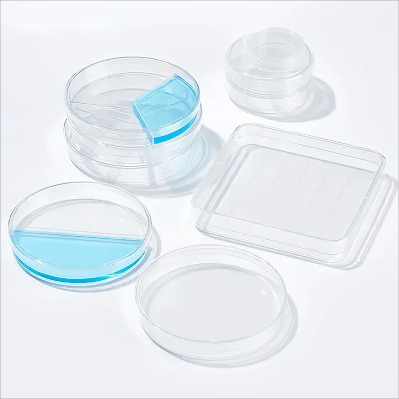 60mm Laboratory Plastic Plastic Petri Dishes Disposable Plastic Cell Petri Dish