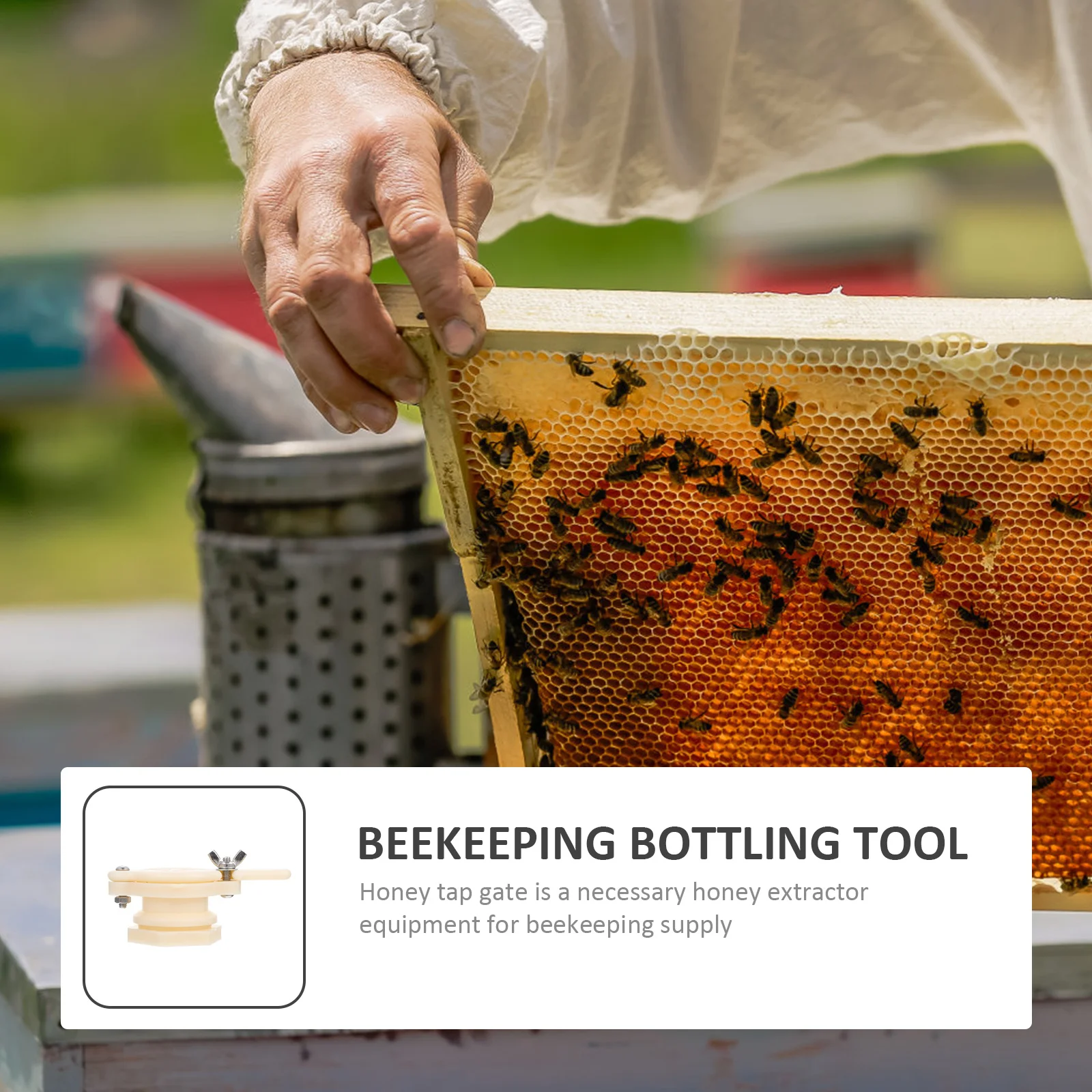 

3Pcs Honey Gates Durable Beekeeping Equipment Long Handle Honey Extractor Accessories Beekeeping Equipment Plastic Bee