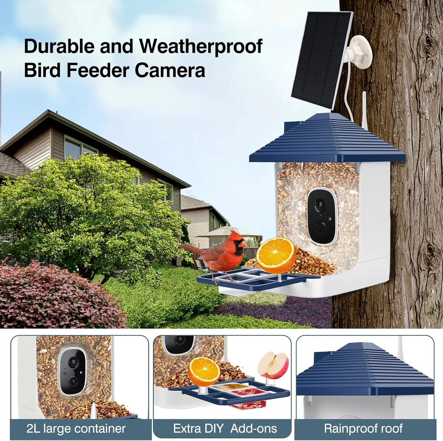 وحدة تغذية الطيور الذكية مع كاميرا، أنواع تحديد الذكاء الاصطناعي، بيت الطيور بالطاقة الشمسية، تنبيهات الوصول الفوري، مبيعات المصنع مباشرة #3