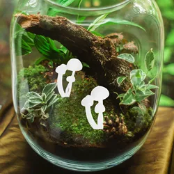 9 Pcs Stuffing Mini Mushroom Micro NEW Decoration Landscape Ornament Miniature Model Epoxy Resin Design Craft Ornament 2024