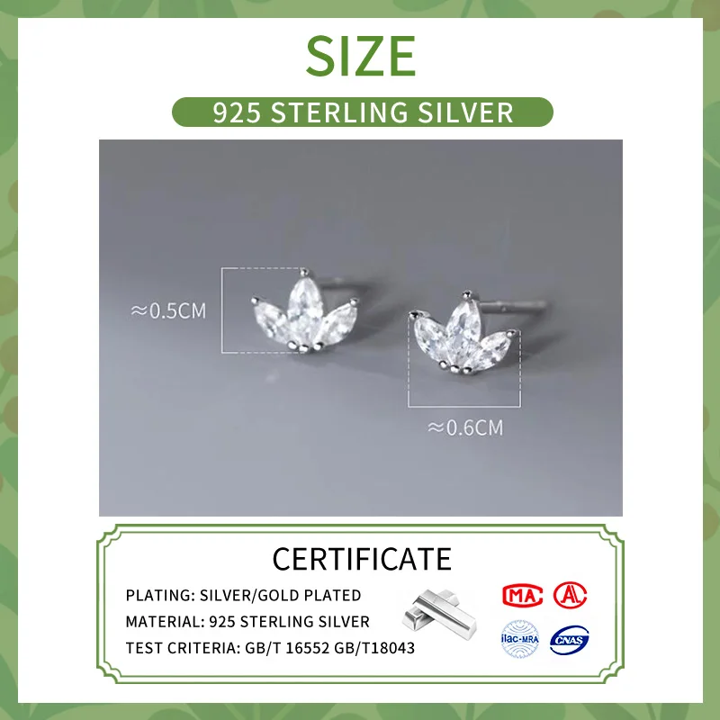 INZATT Real 925 Sterling Silver Sparkling Zircon Leaves Mini Stud Earrings for Women Classic Fine Jewelry Piercing Ear Hole Care