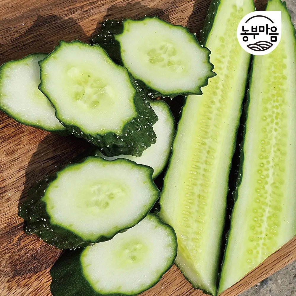خيار بحري رطب ومقرمش (5 قطع، 10 قطع، 25 قطعة)