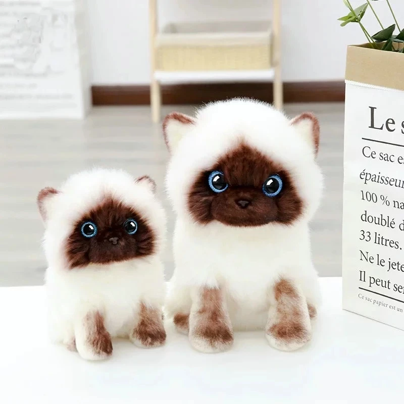 20/26CM Lifelike Cute Siamese Cat Plush Toy Blue Sequins Eyes Kitty Doll Brown And White Face Cat Cartoon Home Decor Kids Gift