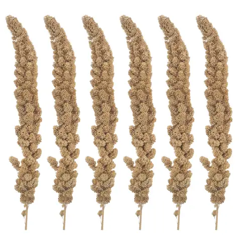 Millet Treat for Pet Birds Bird Snack Natural Dried Millet for Parakeets Parrots Cockatiels Lovebirds Budgies Finches Supplies