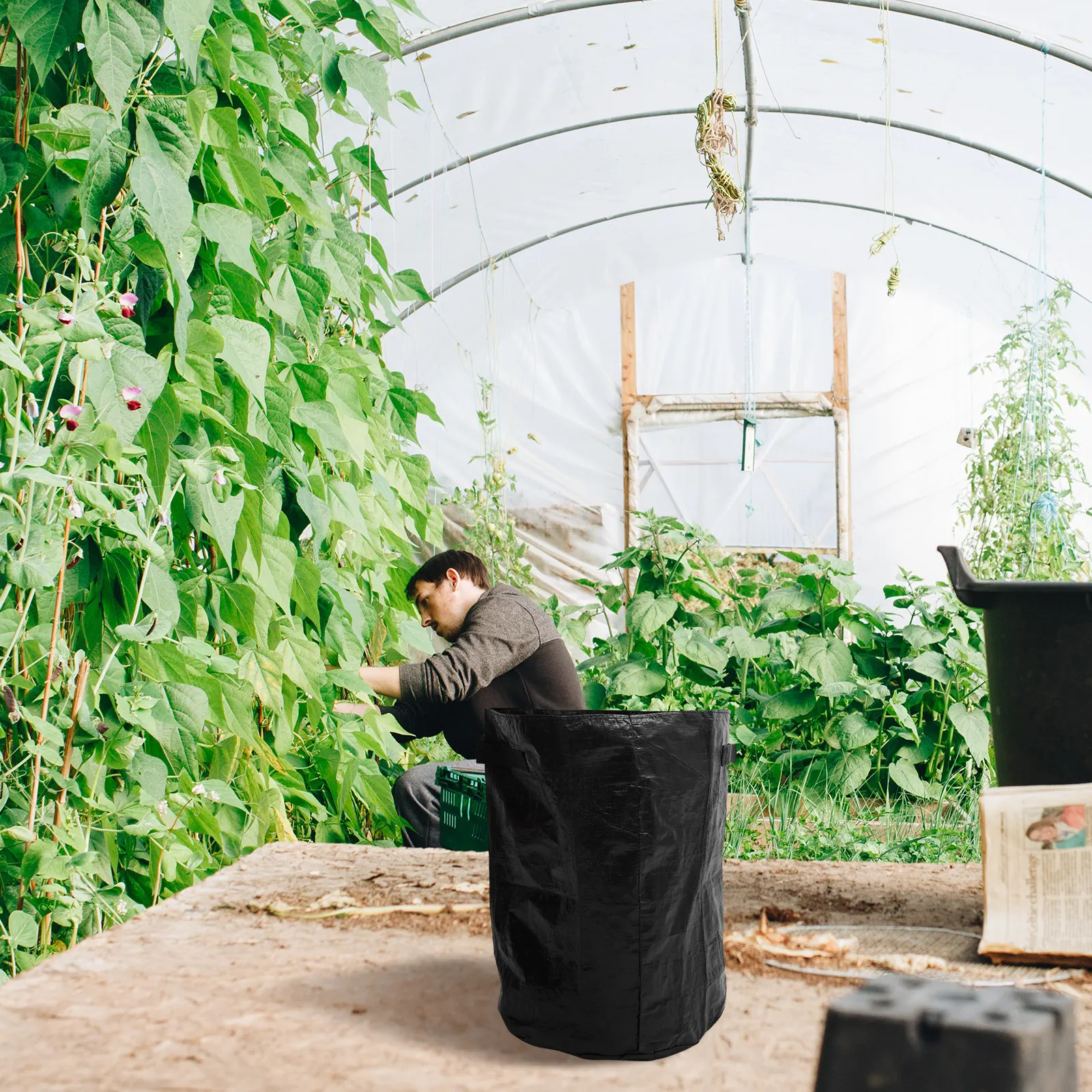 2Pcs 10 Gallon Pe Planting Bags Vegetable Grow Bags for Potatoes Tomatoes Carrots Onions Flowers Breathable Root Aeration Garden