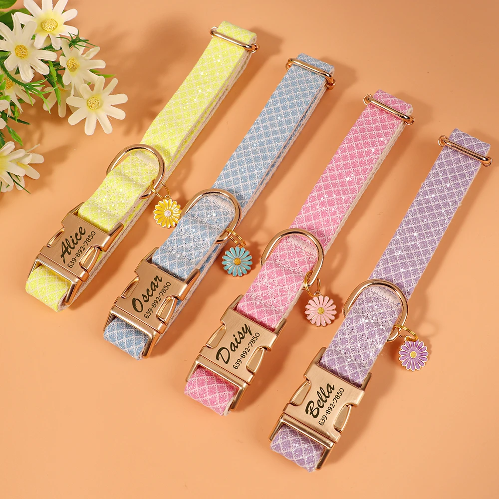 Thumbnail 3 - #20 Best Puppy Collars to Buy In 2026