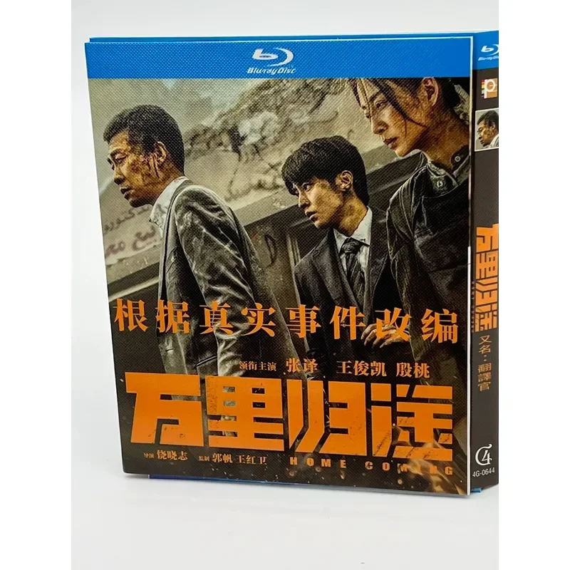 Wanli Homecoming 2022 Domestically Released Drama War Masterpiece Zhang Translation