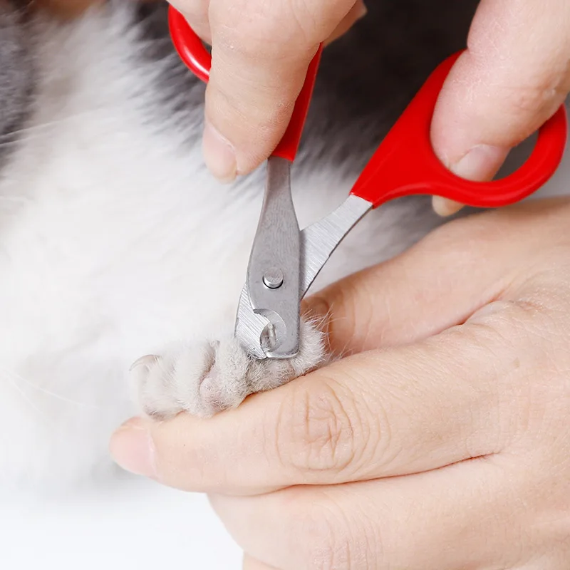 Professional Cat Nail Scissors Pet Dog Nail Clippers Toe Claw Trimmer Pet Grooming Supplies Products for Small Dogs Dog Gadgets