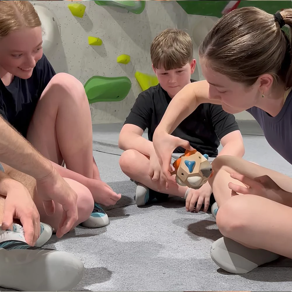 كتلة بولدر مصنوعة يدويًا - بناء القوة والدقة، بول خشبي صلب 10 سم