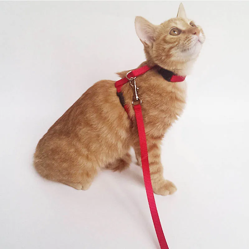 Escape Proof Cat Set of Harness and Lead -Soft Adjustable Nylon Leash Best for Kitten Rabbits Puppy Walking