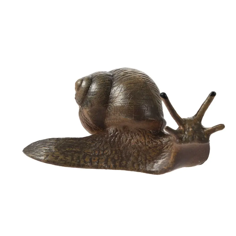 Ornamenti del ciclo Giocattoli educativi precoci per bambini Ciclo Mantis Figurina Ciclo di crescita delle lumache Ciclo di vita Figure Preghiera Mantis Toy
