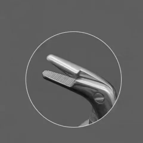 

Dental Matrix System Kit Metal Matrice Holders Rings Delta Ring Elastic Wedges Plastic Wooden Wedge and Distractor Pliers
