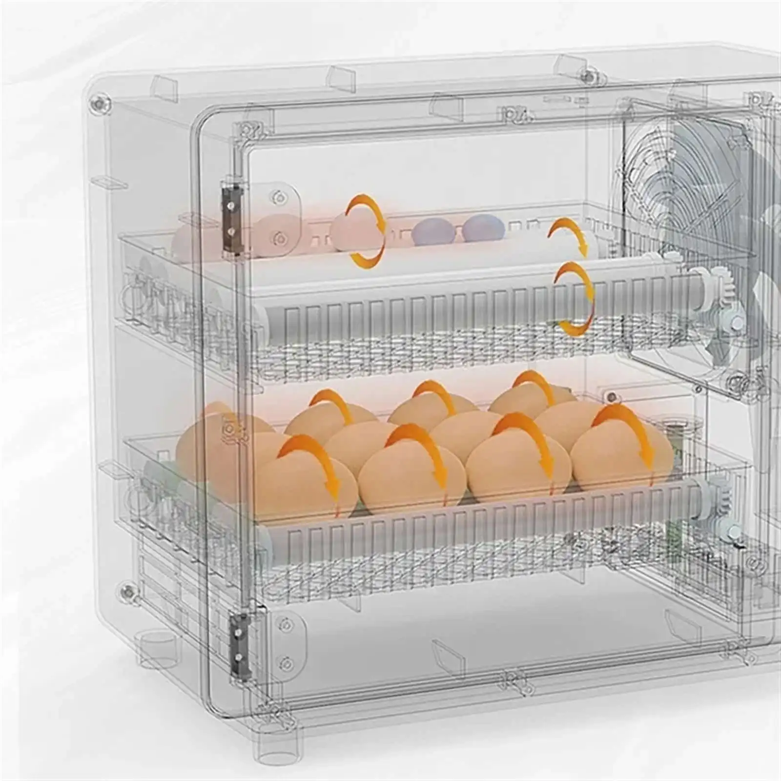 Incubateur d'œufs mini entièrement automatique, couveuse domestique intelligente pour poulets, cailles et œufs de caille Rutin