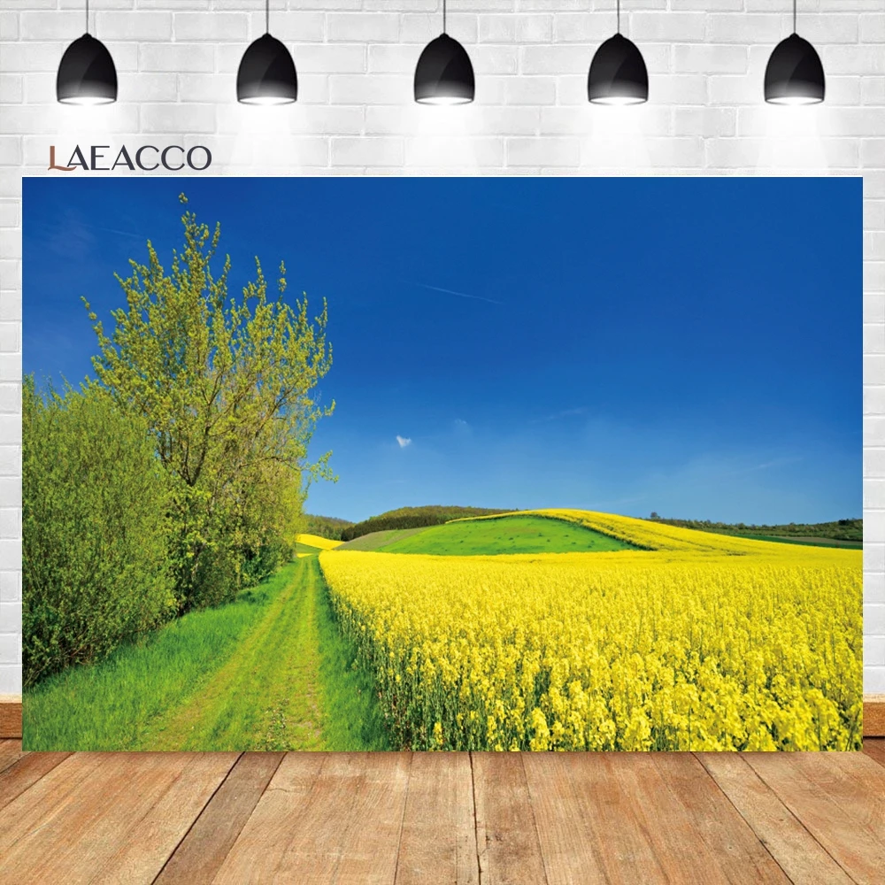 Laeacco Spring Rural Sunrise Field Nature Landscape Backdrop Meadow Wildflower Grass Kids Adults Portrait Photography Background