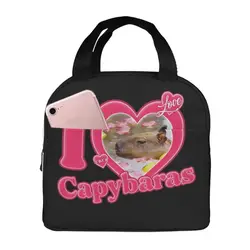 Cartoon Capybara hot lunch bag Female Male Office Student bento Storage Insulated bag Fun thickened insulated bento bag