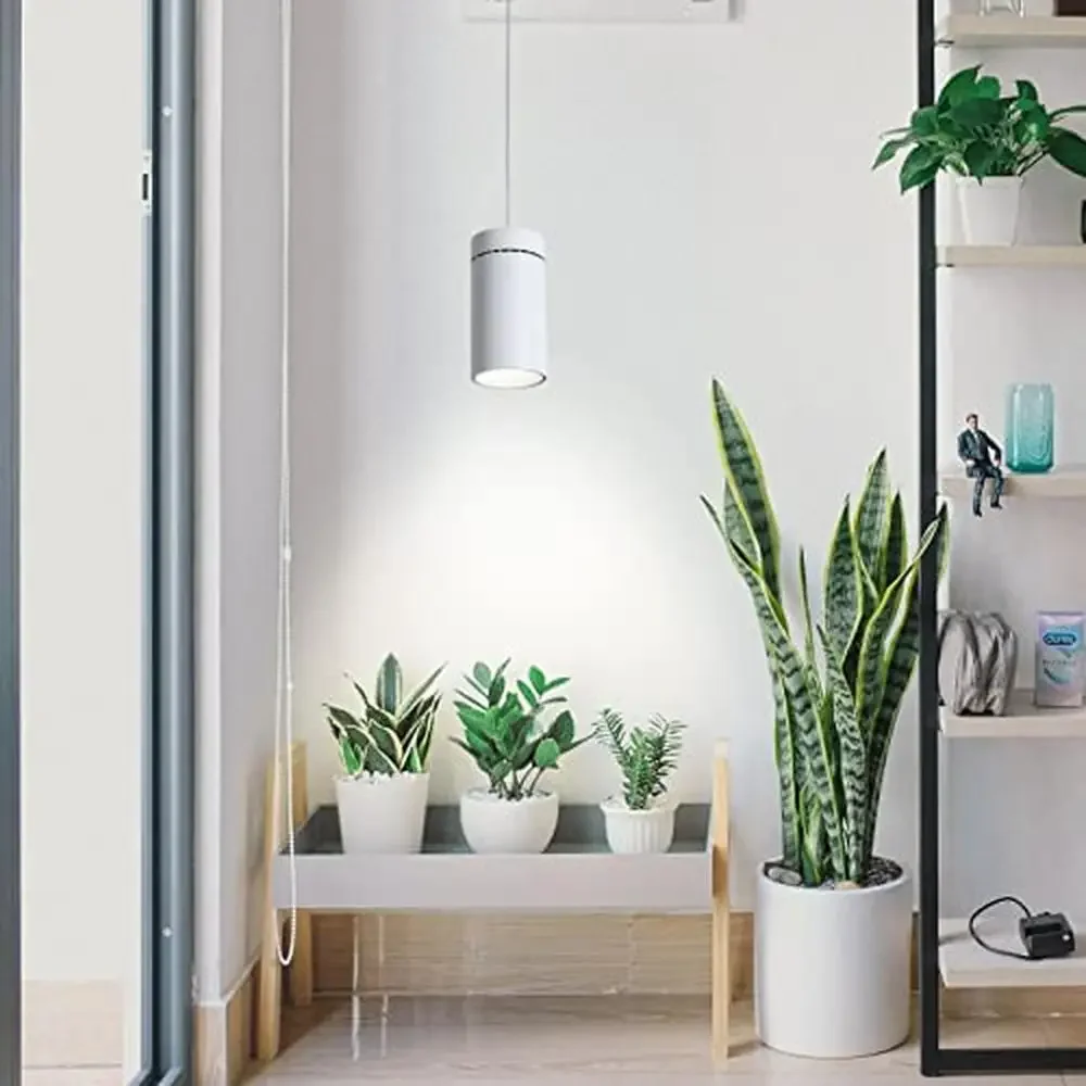 Lampada da coltivazione a sospensione a spettro completo Lampadina LED COB da 40 W Lampada per piante da interno con timer e puleggia Simulazione della luce solare in alluminio bianco Veloce