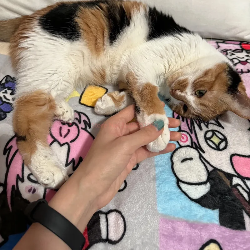 Shugo Chara Anime Pattern Blanket, Cute Hinamori, Amu, Girl, Tsukiyomi, Ikuto, Glutnel, Peripheral Gift