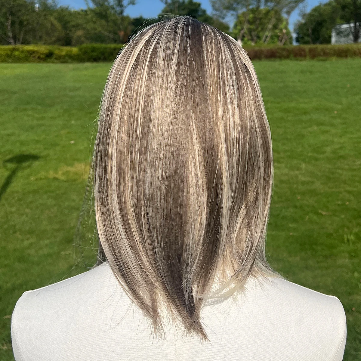 Daily Short Hair Heat-Resistant Hair Natural Silver Gray Gradient Color Short Straight Party Wig Suitable Role-Playing image 2