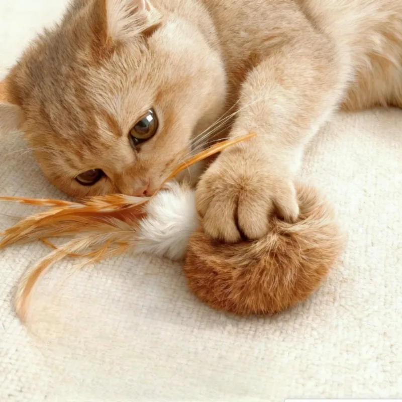

Cat Toys Feather Wand Interactive Real Rabbit Fur Octopus Refill Gallnut Fruit Light Plush Ball Durable for Kitten