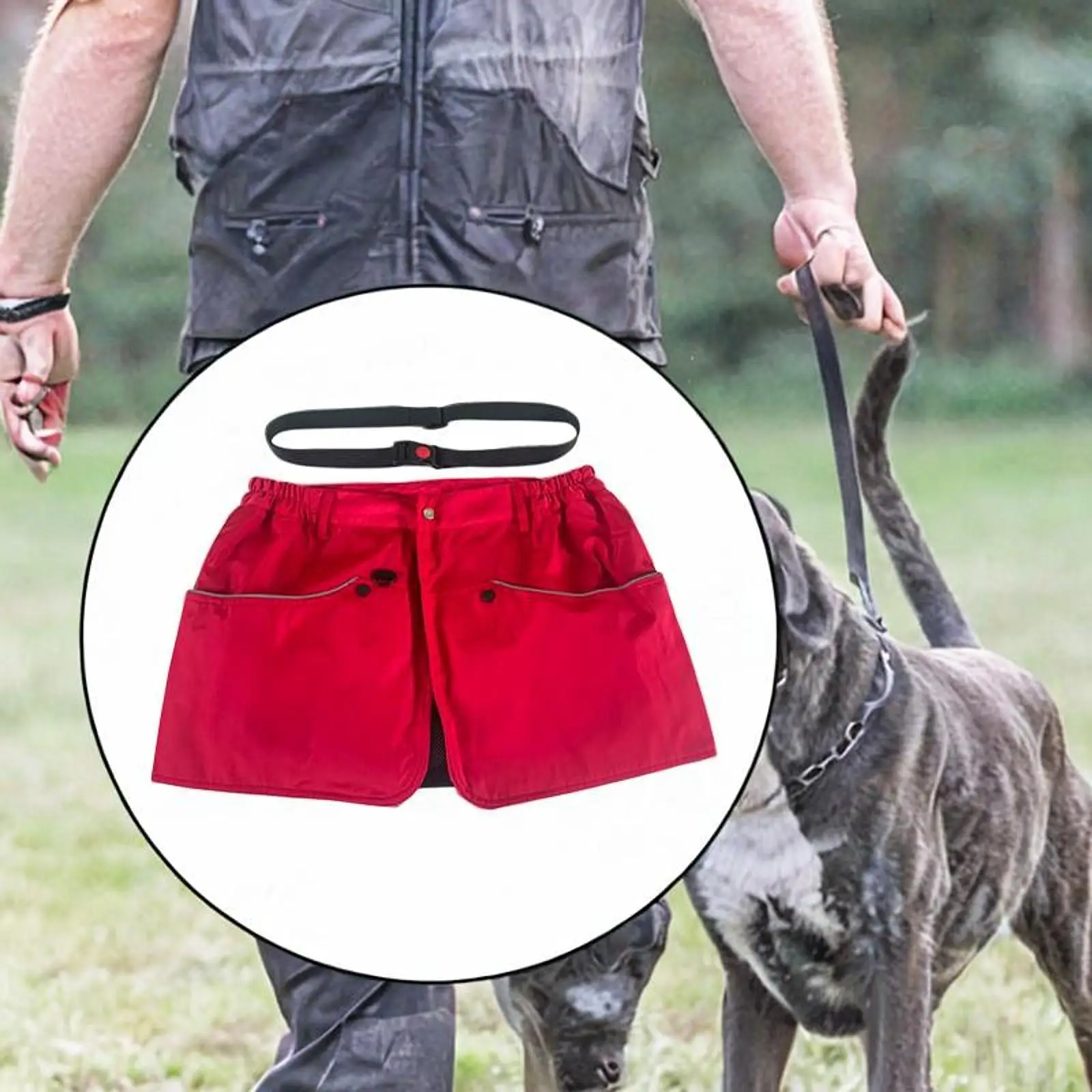 

Dog Table Deck Deck Deck below the Dog Training Pantalon Pantalon Drawing Ack