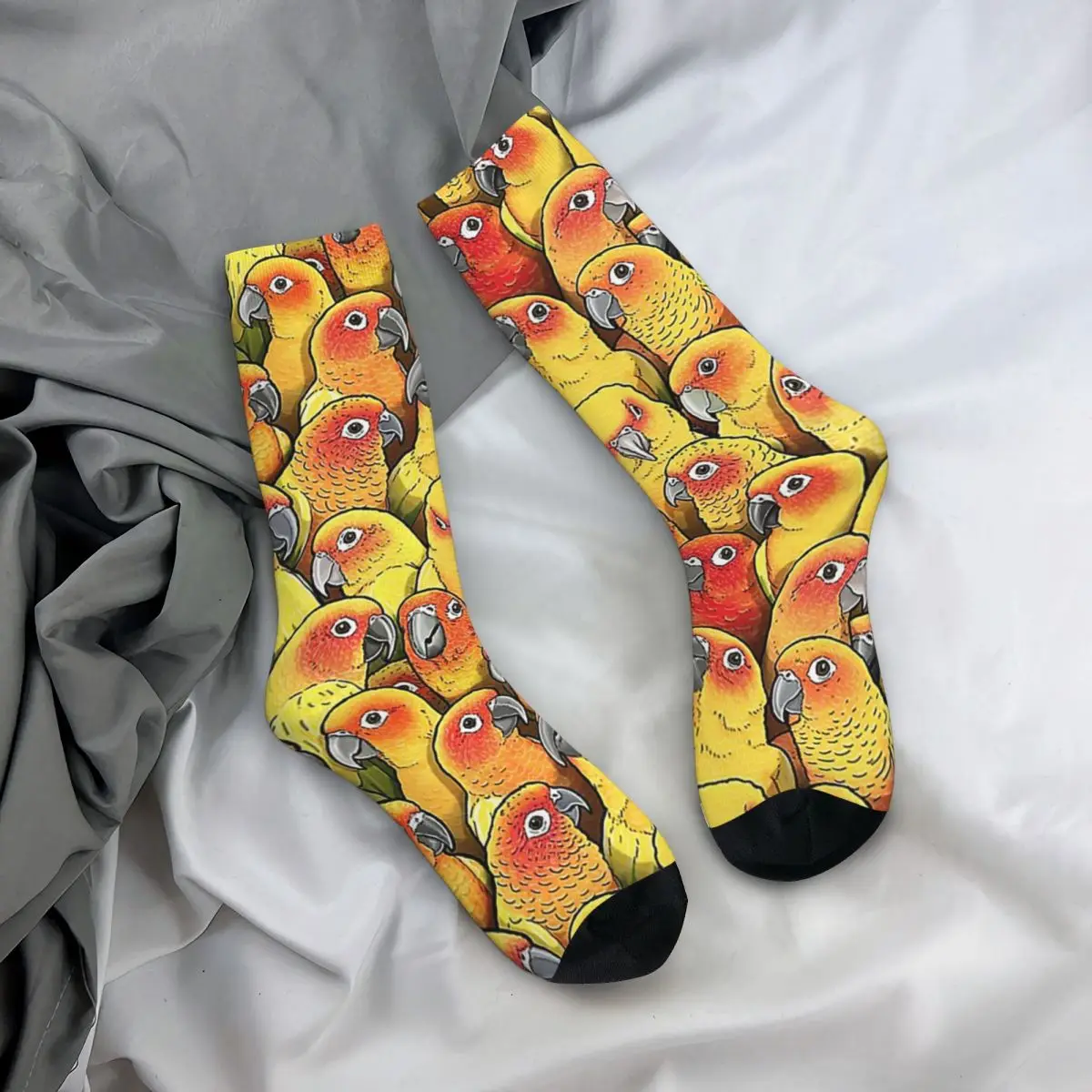 Sun Conures Socks Harajuku Super Soft Stockings All Season Long Socks Accessories for Unisex Gifts