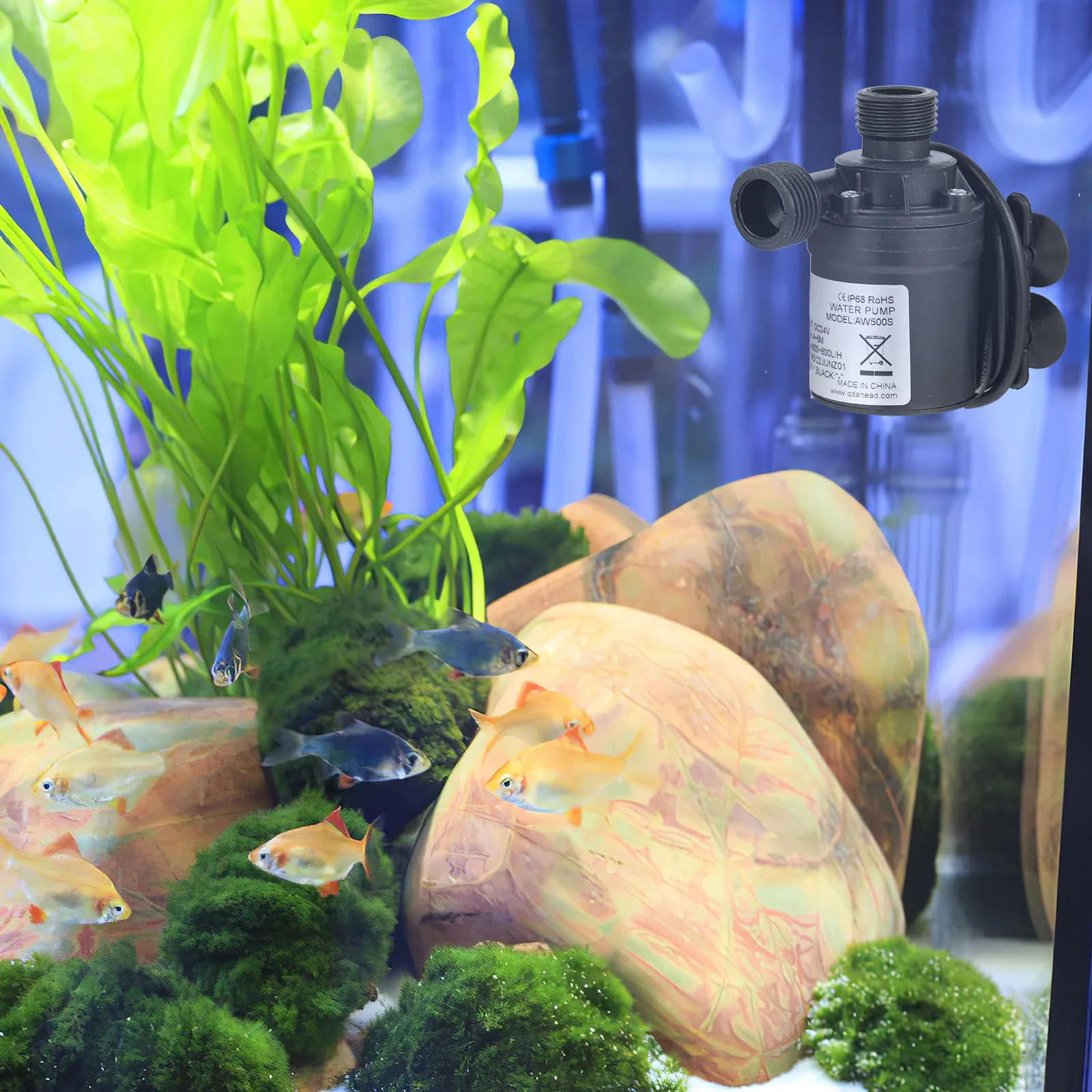 

DC24V Booster Pump Suction Cup Easy Install Silent Submersible Water Pump for Small Ponds Aquariums Fountains Oxygen Creation