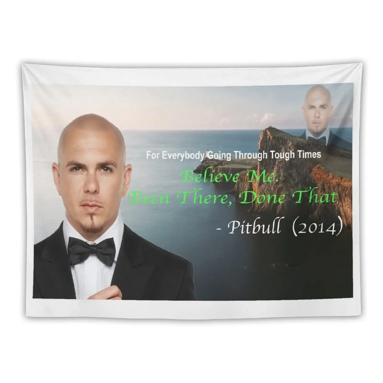 

Pitbull's Been There Done That Tapestry Cute Room Things Bathroom Decor Room Ornaments Kawaii Room Decor Tapestry