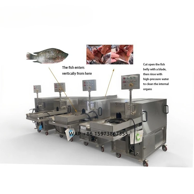 Seafood Processing Plants Automatic Gutting & Cleaning Equipment for Trout Salmon & Tilapia - Fish Machinery Solutions