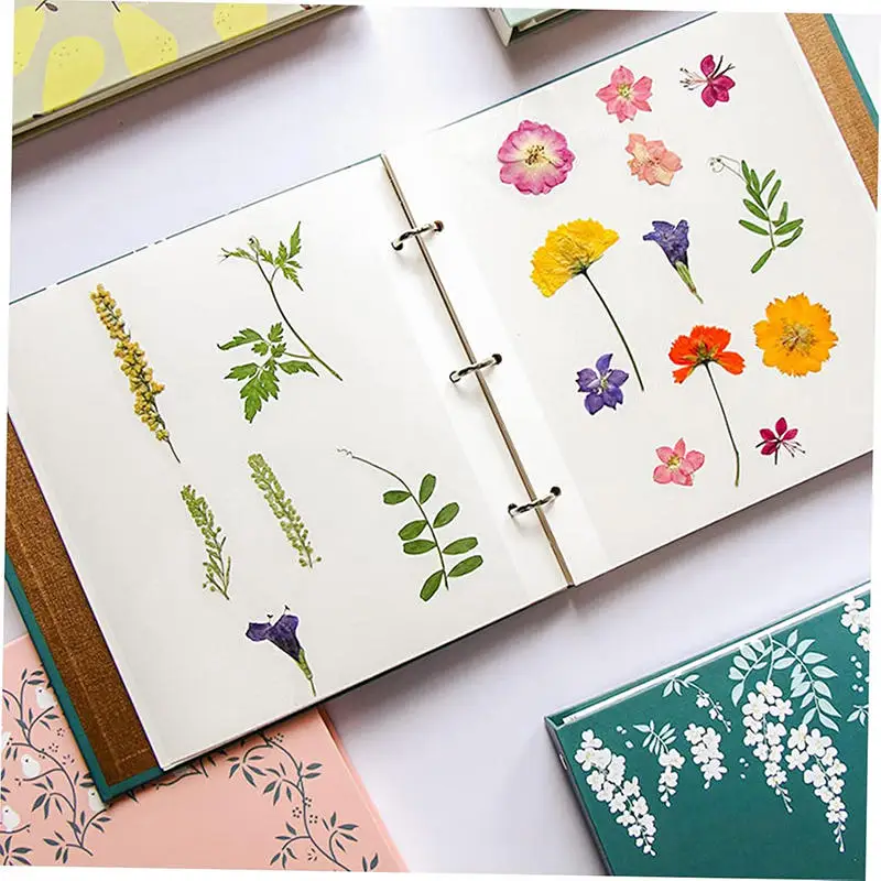 DIY Selbstklebendes Fotoalbum, 25 Seiten, 3-Ring-Ordner, Scrapbook für getrocknete Blumen und Erinnerungen, wiederverwendbar für Pflanzensammlungen