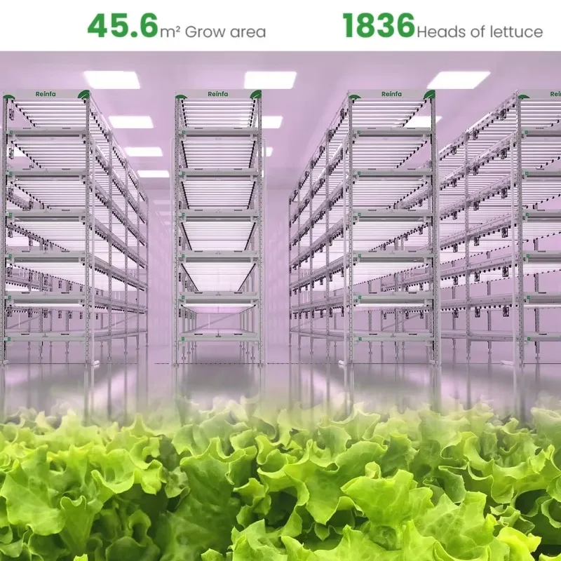 أفضل من نظام النمو متعدد الطبقات للبرج المائي للمزرعة التجارية #3