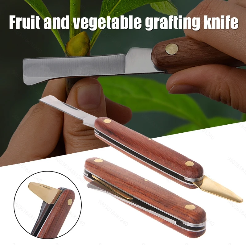 

Grafting Tools,Foldable Grafting Pruning Knife,Professional Garden Grafting Cutter,Stainless Steel,Wooden Handle