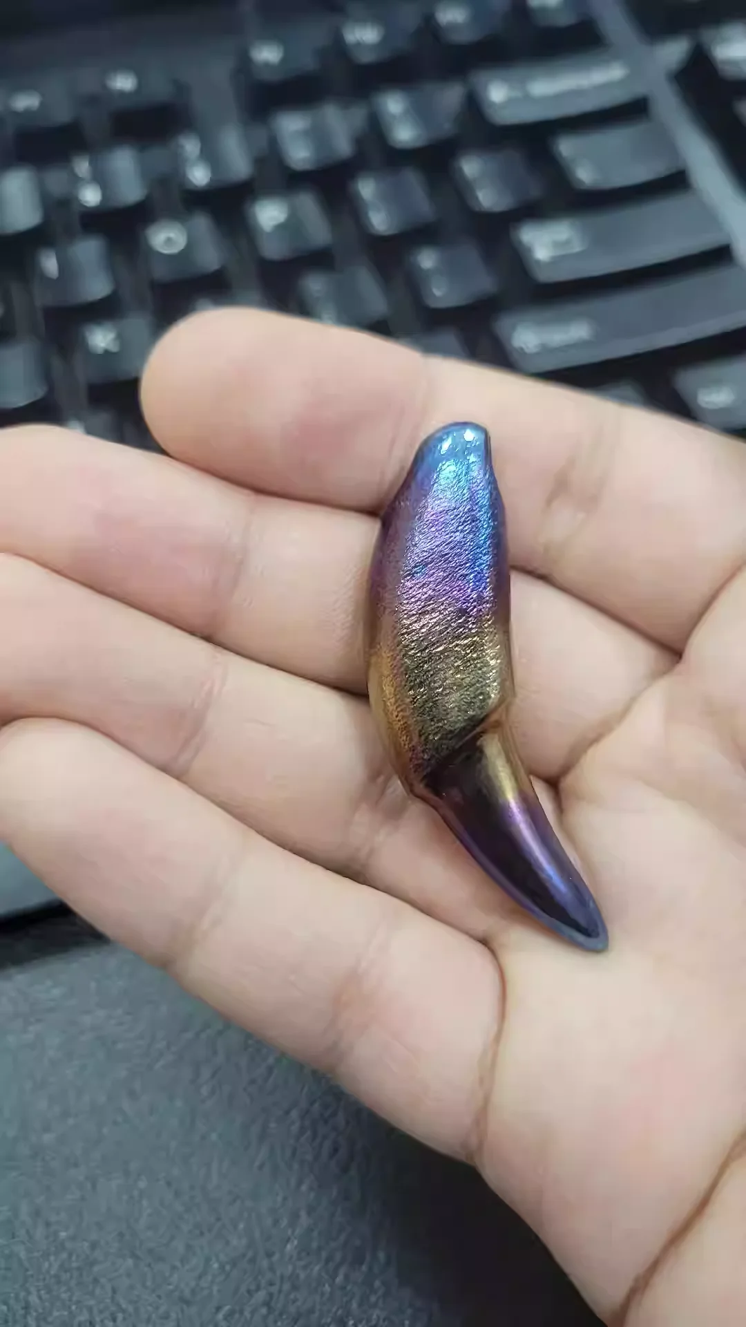 Titanium roasted wolf tooth EDC pendant