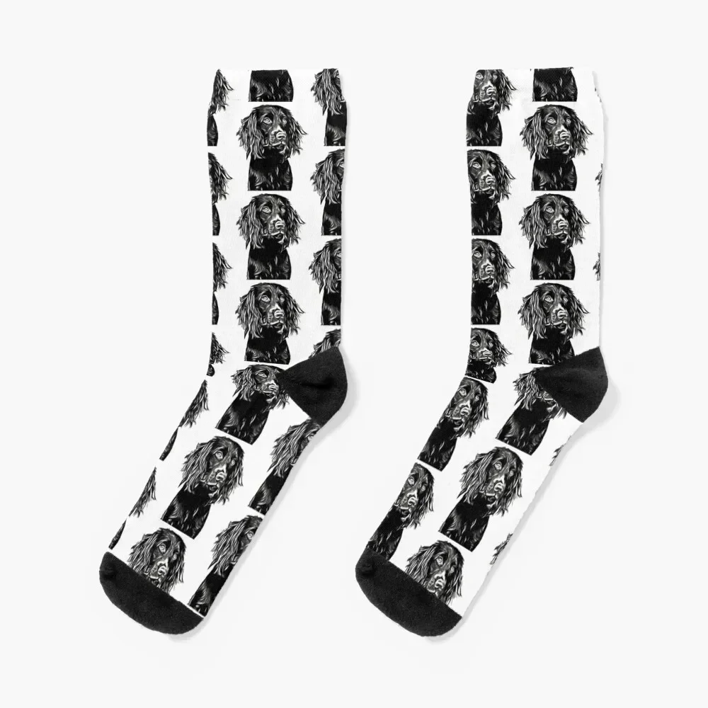 

Boykin 2 Socks cute Stockings compression funny gift Men Socks Luxury Brand Women's