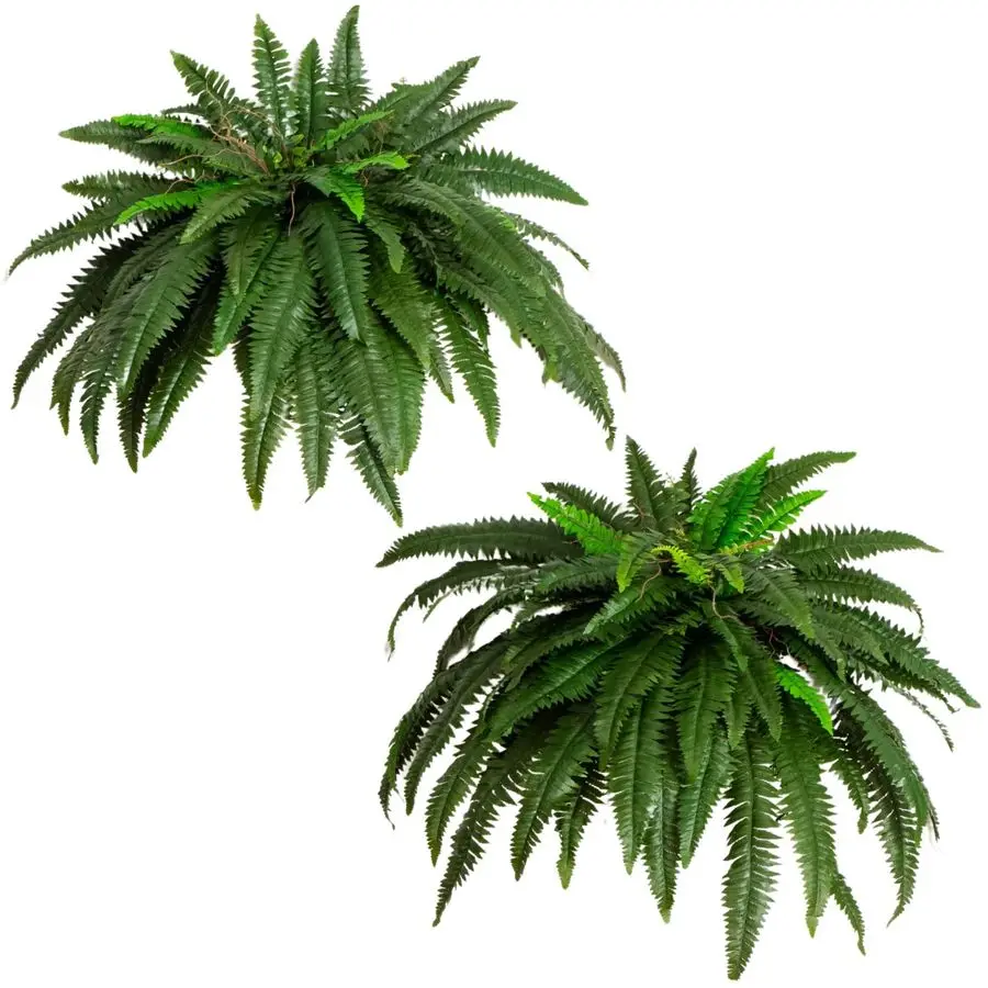 

48in Artificial Boston Fern, Set of 2 Large Hanging Fake Plant Wall Decor with 67 Fronds, Faux Fern Vines that Look Real for Hom