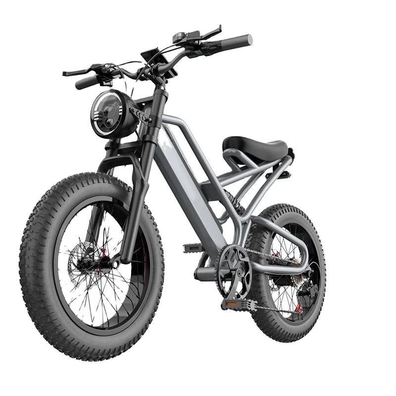 RRE 20 inch 48V 400w electric bicycle auxiliary power off-road mountain electric bicycle shock absorption lithium battery bicycl
